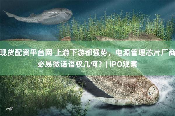 现货配资平台网 上游下游都强势，电源管理芯片厂商必易微话语权几何？| IPO观察