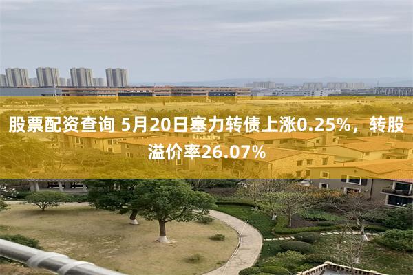股票配资查询 5月20日塞力转债上涨0.25%，转股溢价率26.07%