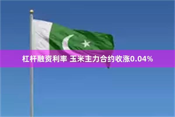 杠杆融资利率 玉米主力合约收涨0.04%