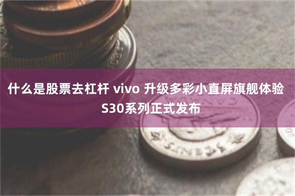 什么是股票去杠杆 vivo 升级多彩小直屏旗舰体验   S30系列正式发布