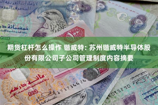 期货杠杆怎么操作 锴威特: 苏州锴威特半导体股份有限公司子公司管理制度内容摘要