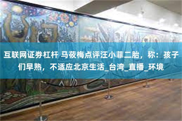 互联网证劵杠杆 马莜梅点评汪小菲二胎，称：孩子们早熟，不适应北京生活_台湾_直播_环境